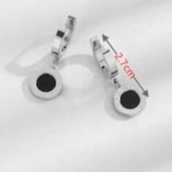 🆕 Stainless steel  roman numerals earrings - Picture 8 of 8